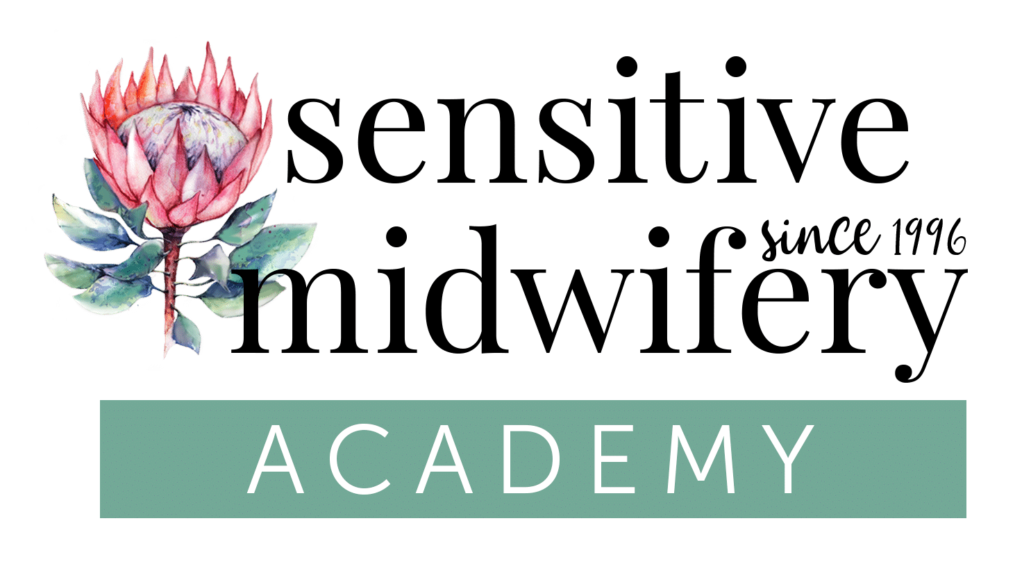 SMidwiferyLogoAcademy
